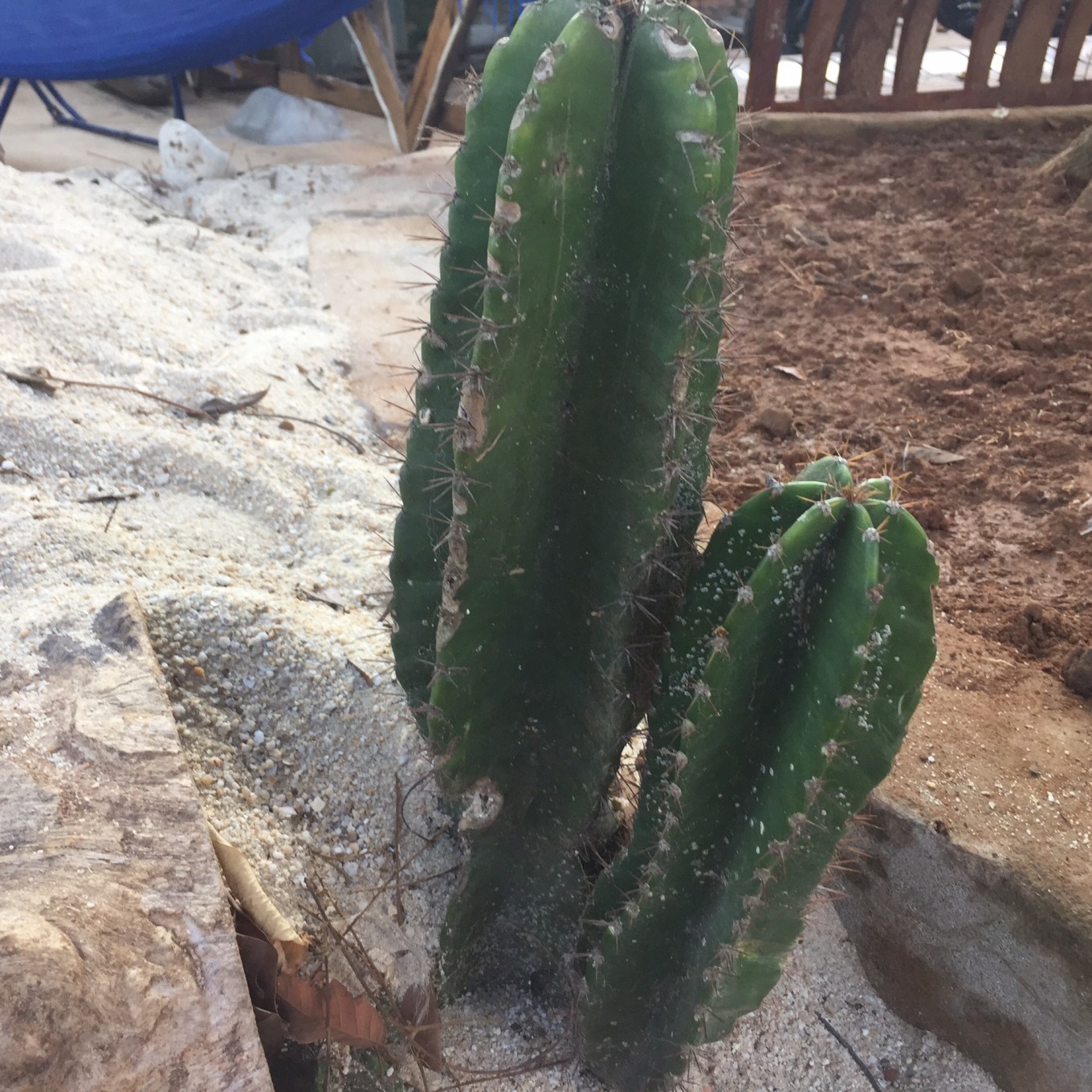 西安自驾北海6日游攻略,成都自驾北海6日游攻略