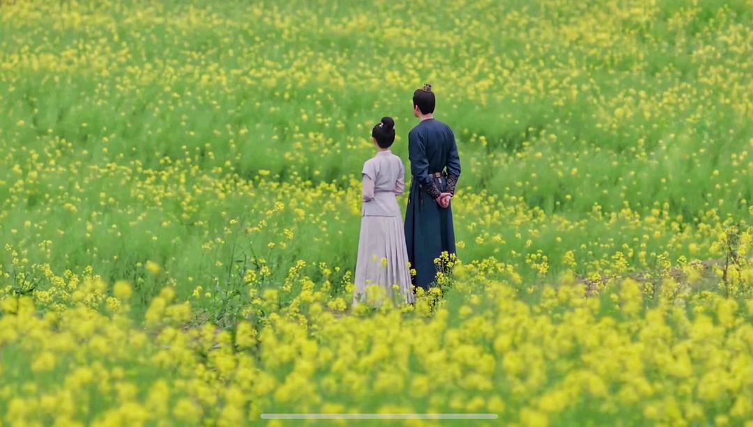 长歌行皓嫣的所有片段,长歌行皓嫣大婚番外