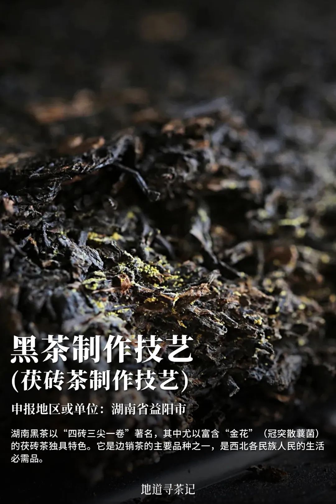 史上最全“中国传统制茶技艺及其相关习俗”展示，建议收藏！