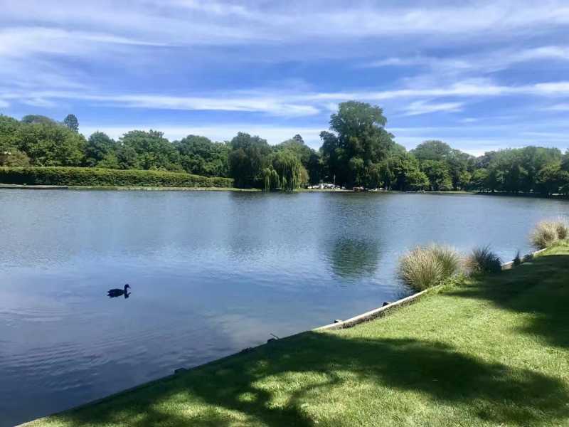 考研出国新加坡,如何考研到别的学校