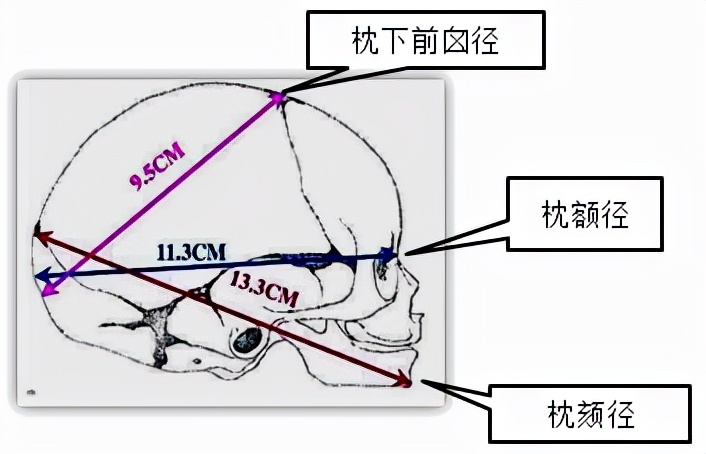 孕妈妈怎么判断胎位是正的,胎儿屁股在右侧是什么胎位