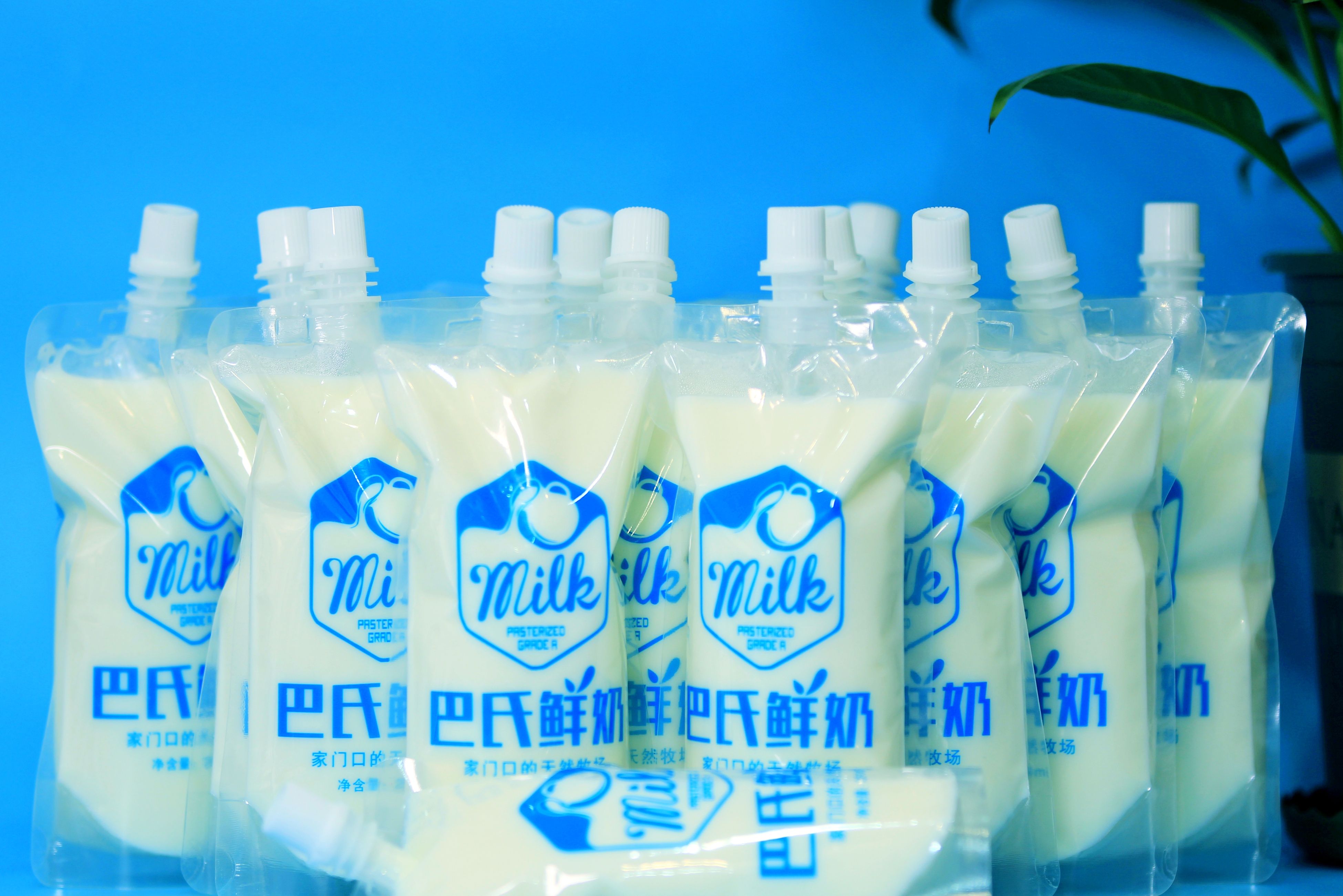 如何开好一家自助酸奶店,如何开一家酸奶店