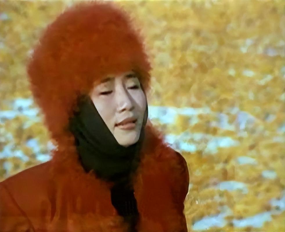 李娜为什么重回巅峰,李娜的心路历程