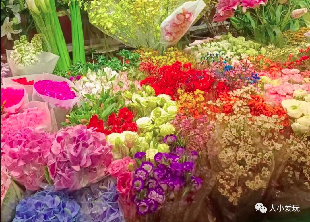 北京最美的花鸟市场,北京值得逛的花鸟市场