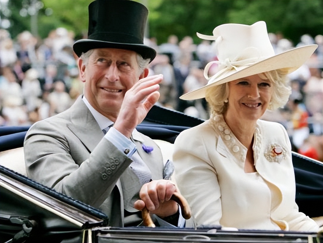 哈里梅根和卡米拉,梅根和卡米拉之情商大战