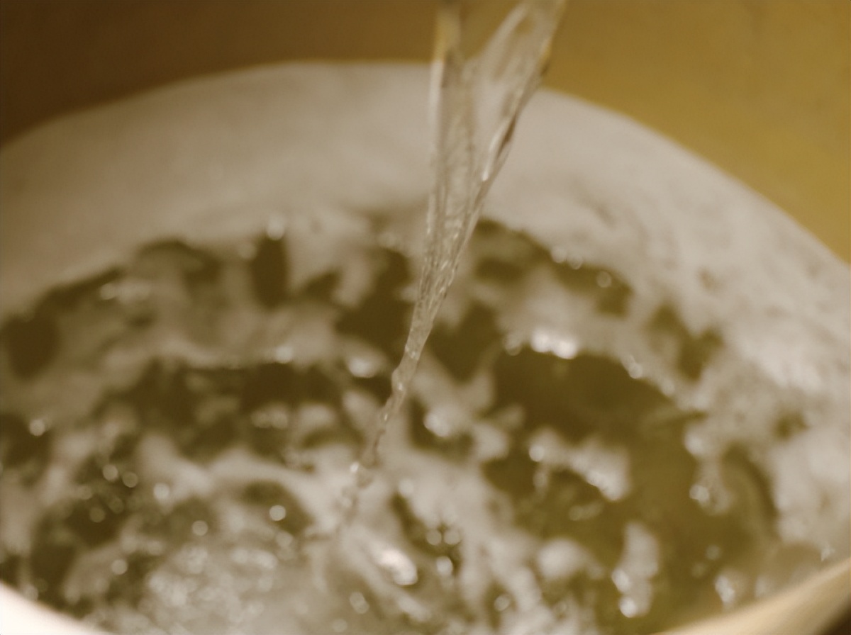 微生物菌群最新研究进展,一号菌群科研新成果