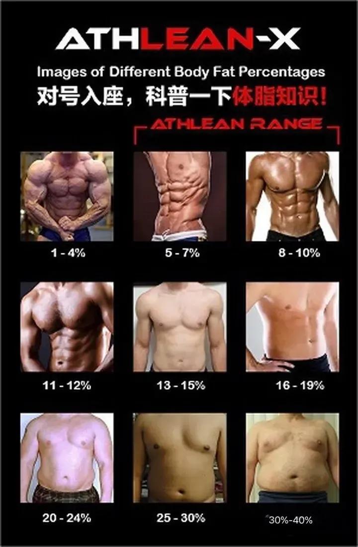 紧致上身练出胸肌腹肌,最实用的腹肌锻炼方法大全