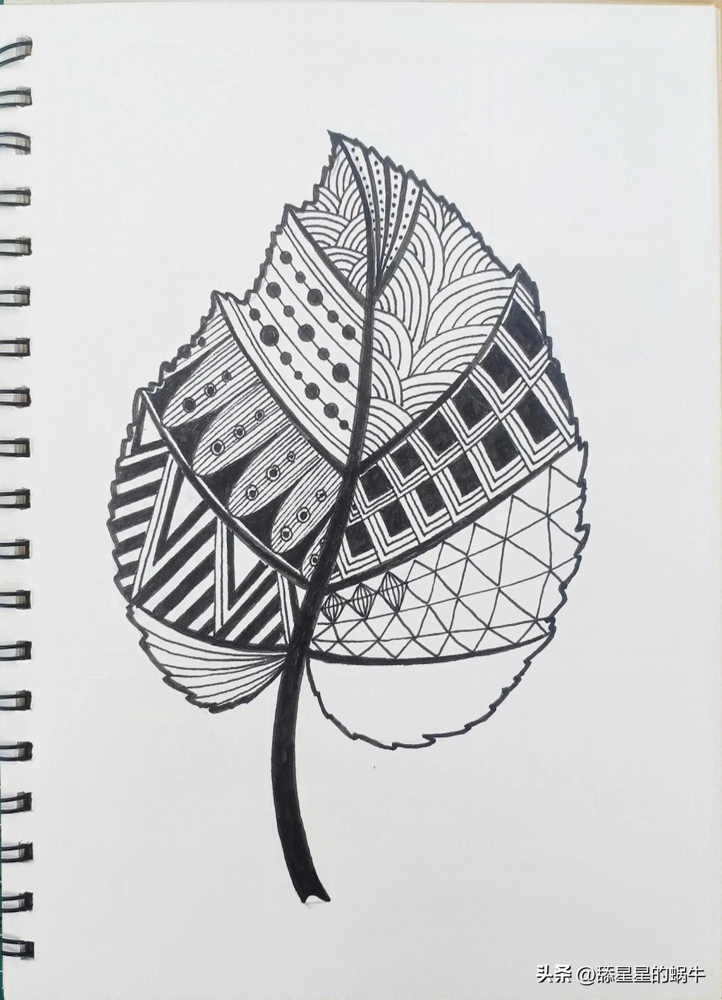 树叶黑白线描画简单花纹,点线面的树叶创意线描