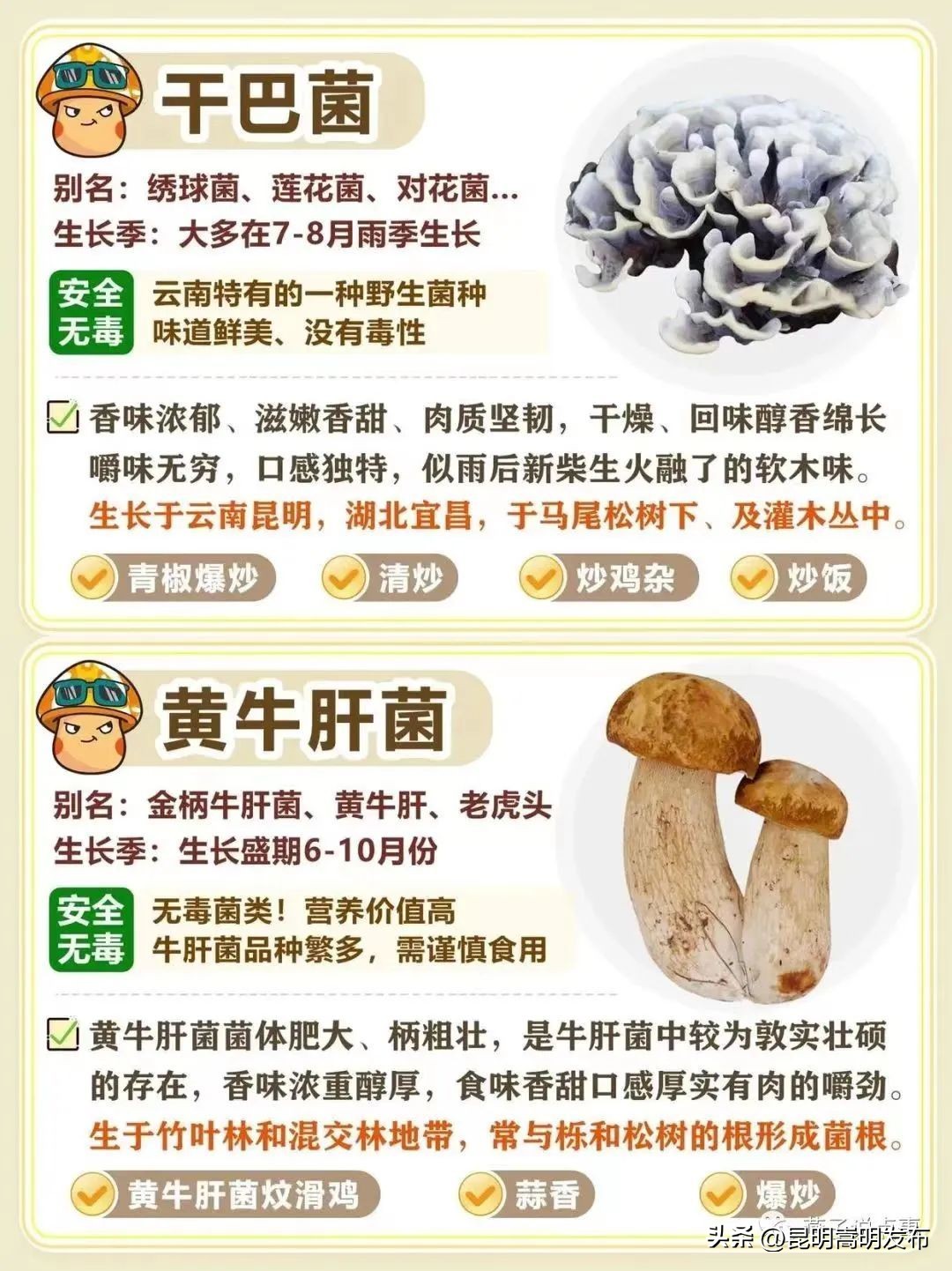 孩子开车撞人去自首,儿子开车撞人最后自首