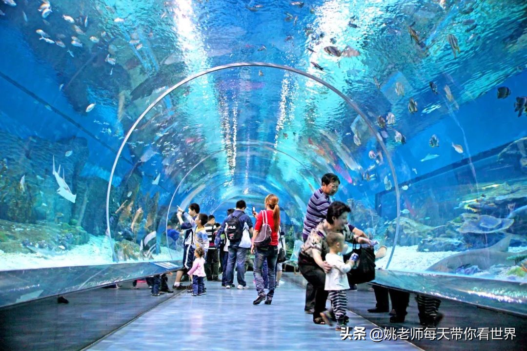 春节上海亲子游乐攻略,上海亲子游乐去哪里