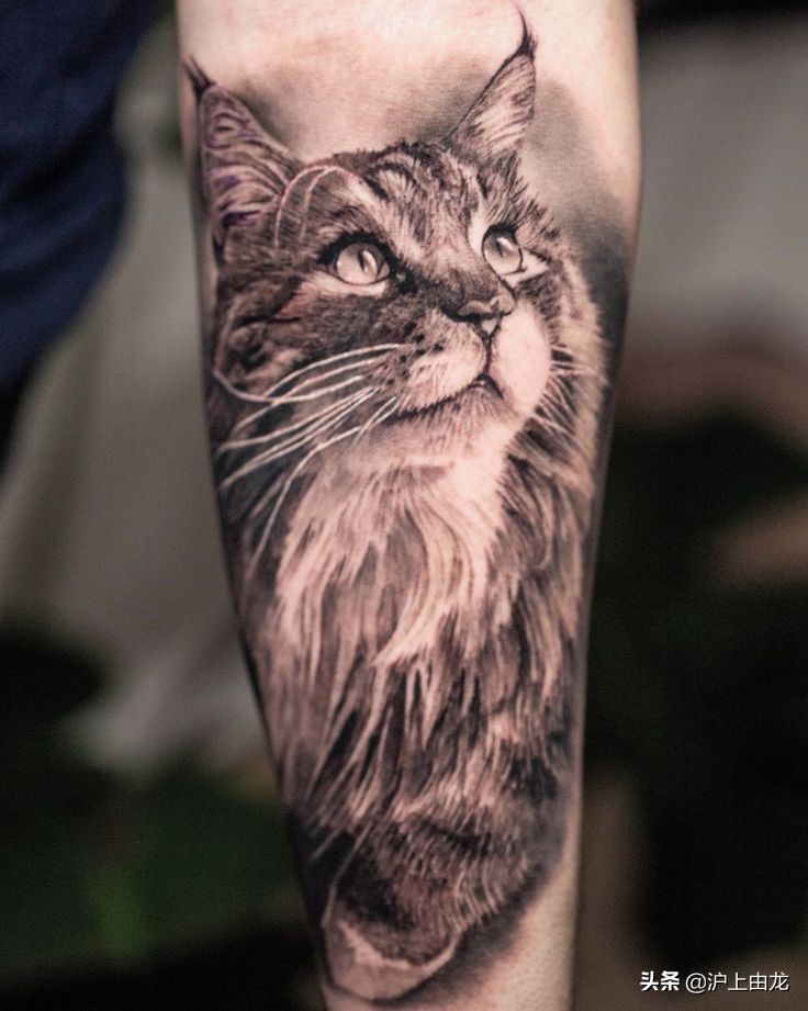 猫咪纹身图案设计,猫咪纹身图片小图案