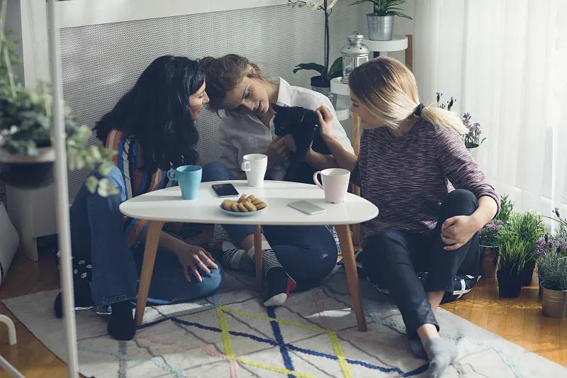 多花数千元为猫赎身，哪些人在买租赁猫？