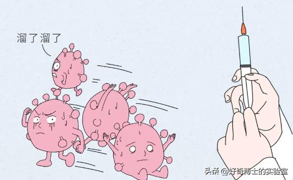 做妇科的活检是什么,妇科做活检是什么