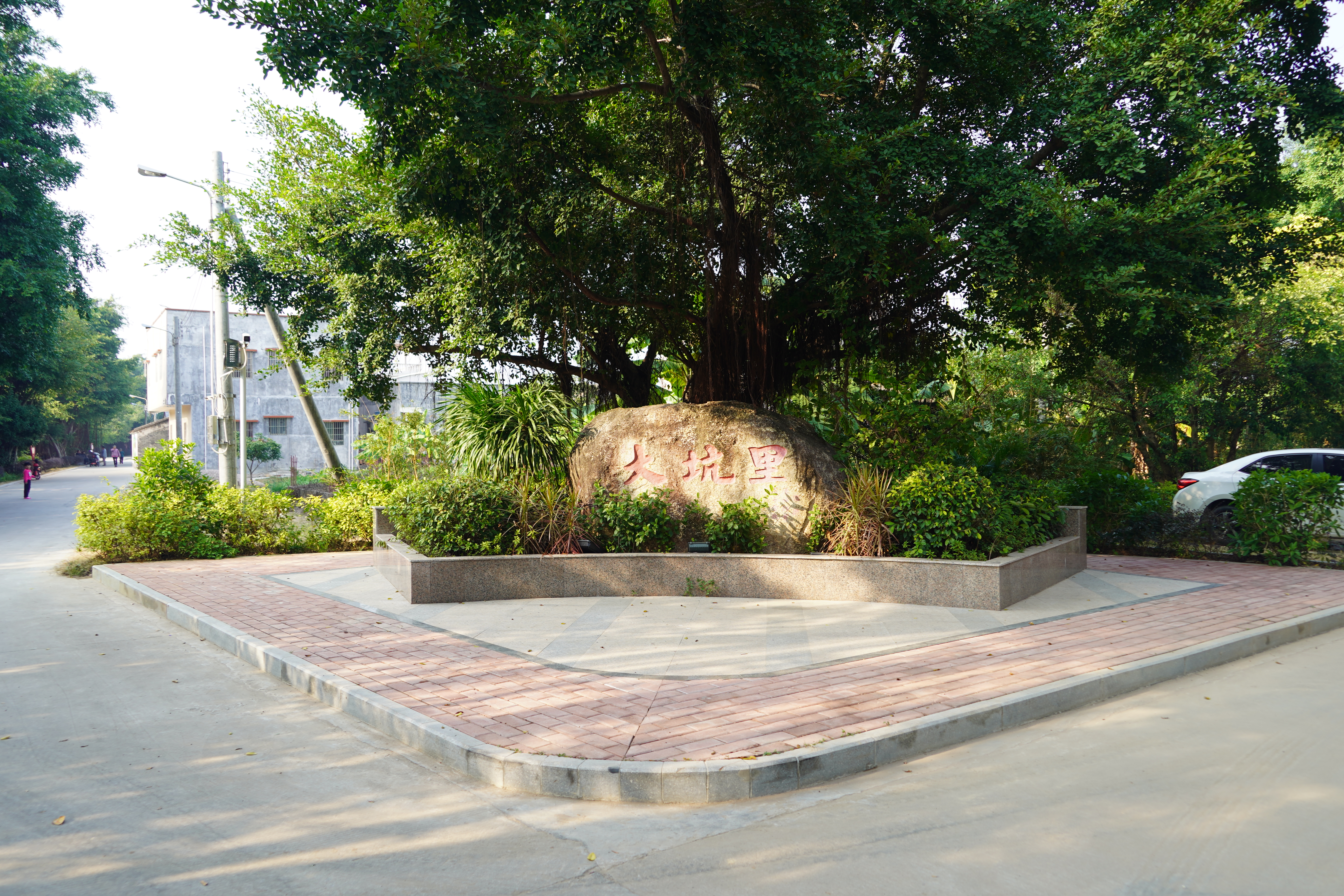 江门新会旅游景点小鸟的天堂,新会小鸟天堂历史记录