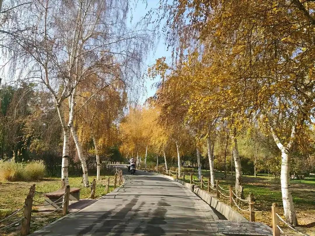 乌鲁木齐2020年十大公园,乌鲁木齐公园数量