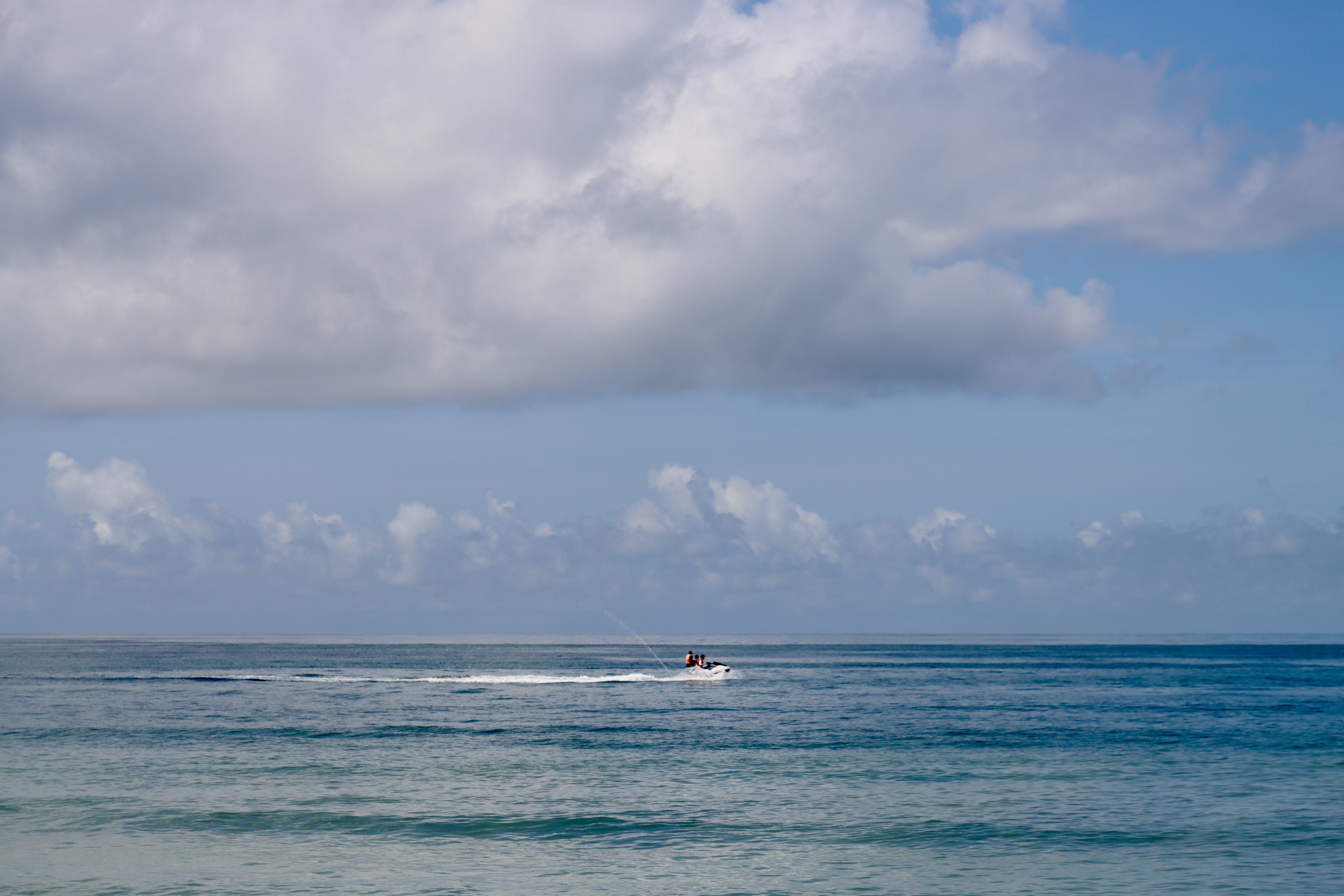 佳能单反新手推荐预算1000,摄影小白购买镜头攻略