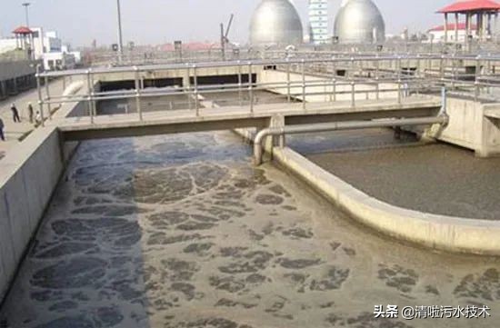 微生物镜检用什么试剂,微生物镜检表