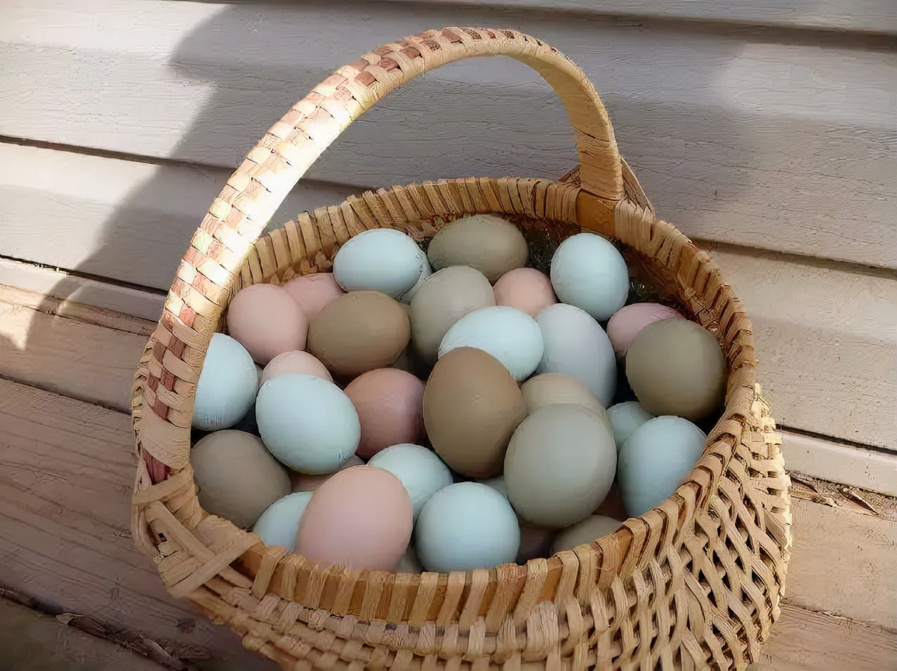 蛋鸡缺磷的表现,蛋鸡缺钙生石灰喂多少合适