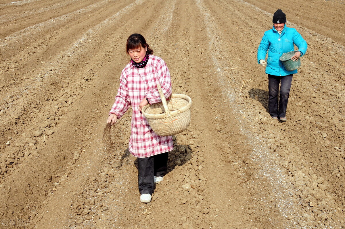 正月十一阴天好还是晴天好,正月十七下雨什么说法