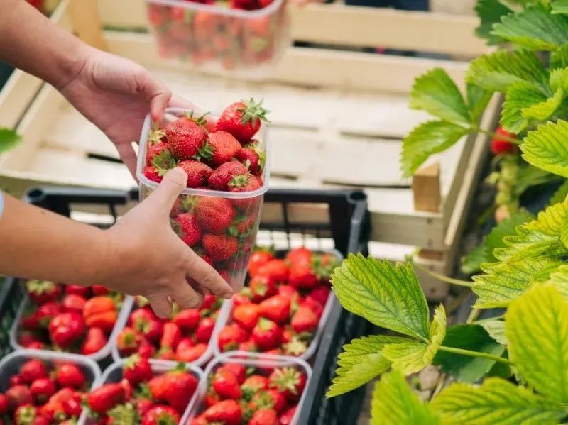 两人从化两天一夜游玩攻略,去从化玩的攻略