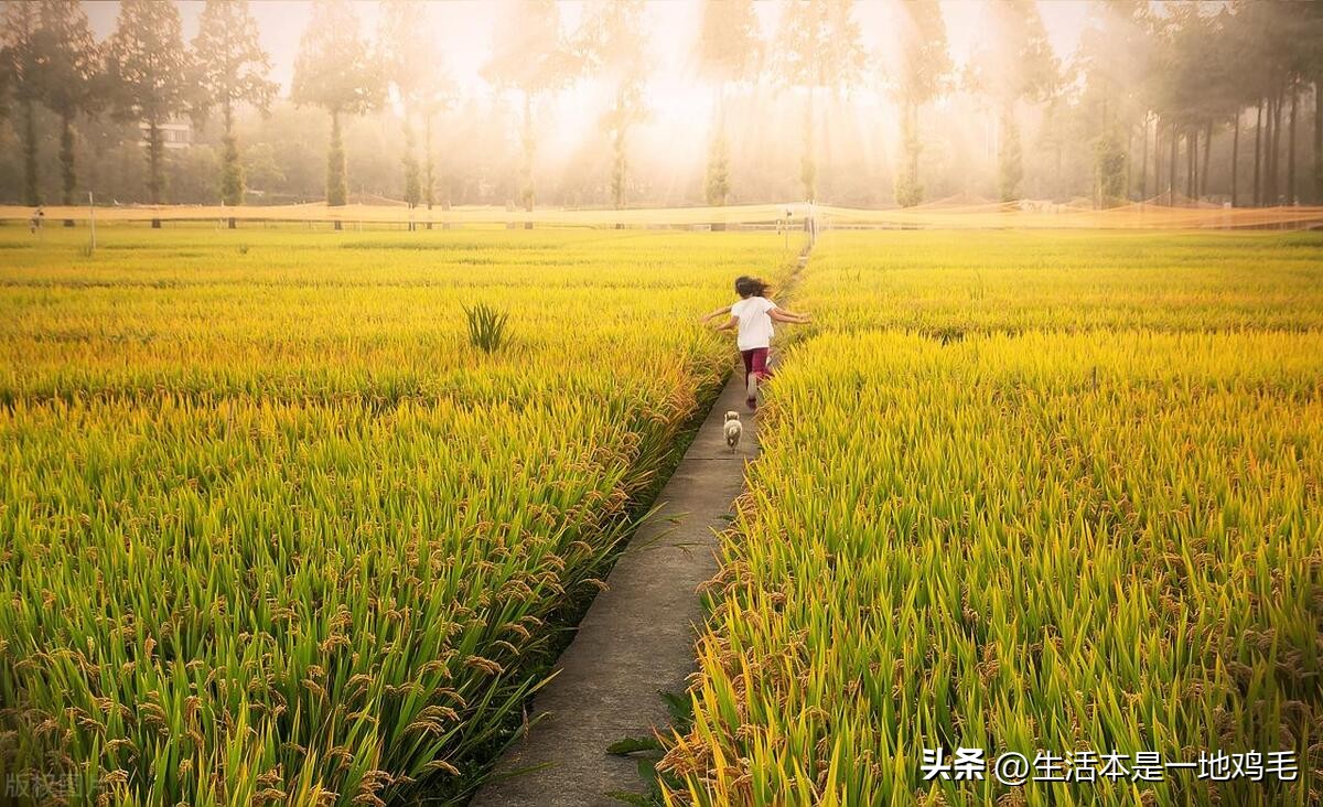 丈夫赌博作为妻子有责任吗,结婚后才知道老公有赌博史怎么办