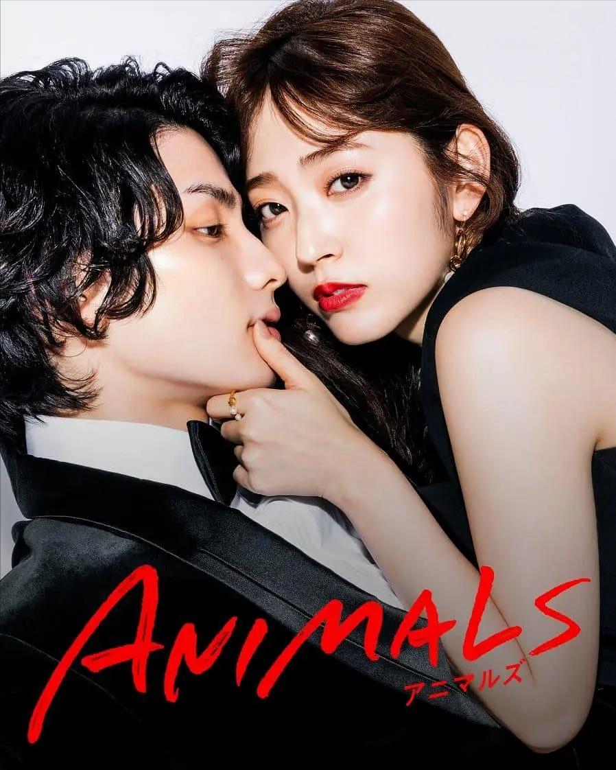 世界杯日本国足太太团曝光,世界杯日本美女太太团