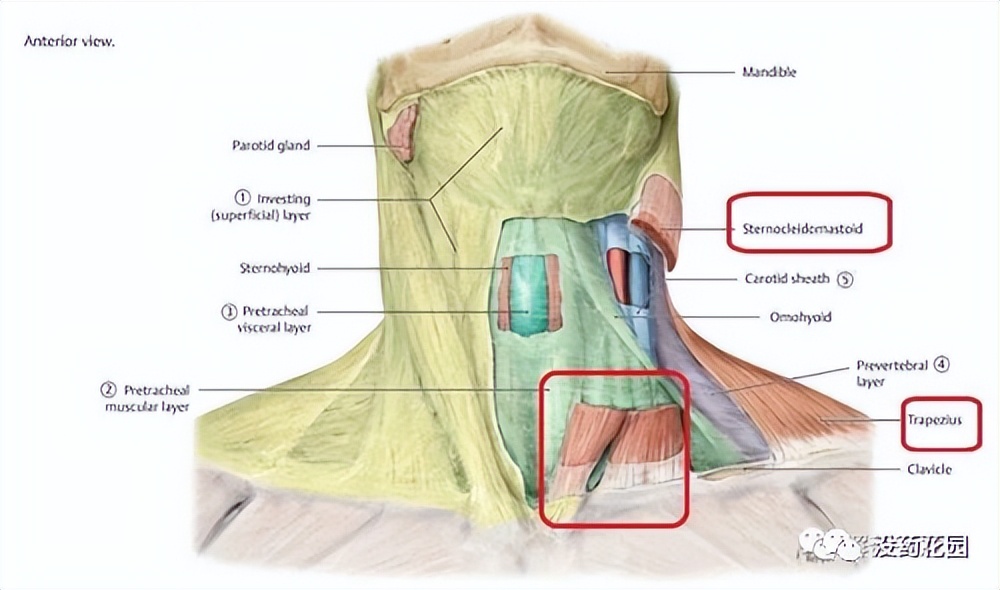 胡鑫宇事件:15岁少年自缢身亡,真相背后,或许可以是另一种结局