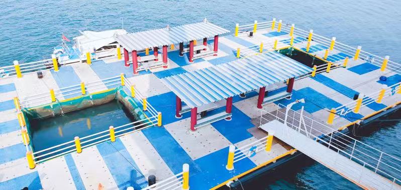 去海边玩最好去的地方,去海边玩最好看的地方