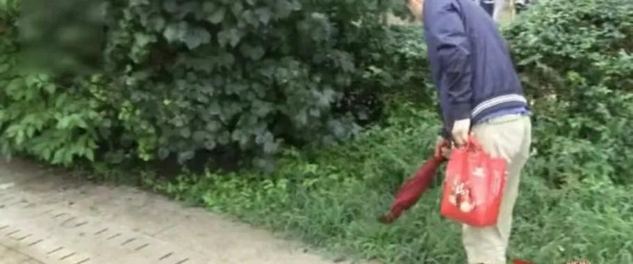 狗狗随处撒尿狗主人罚站,狗狗在汽车轮胎上小便