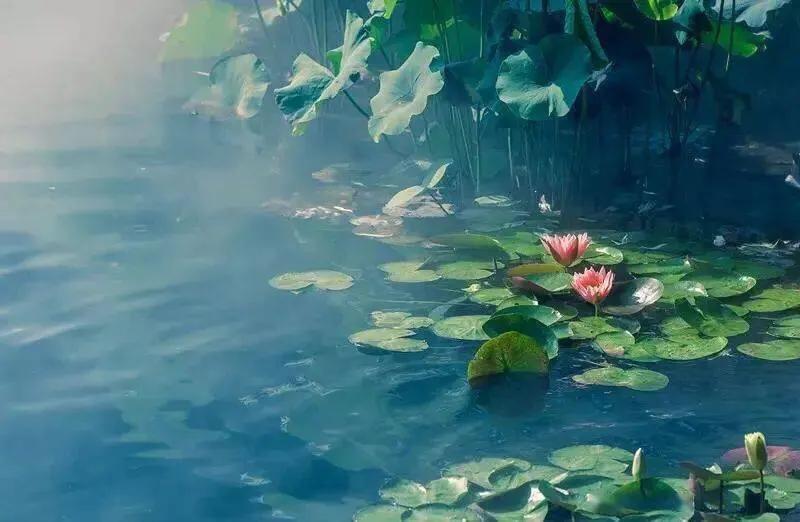 知福惜福造福才最有福,知福惜福造福就是幸福