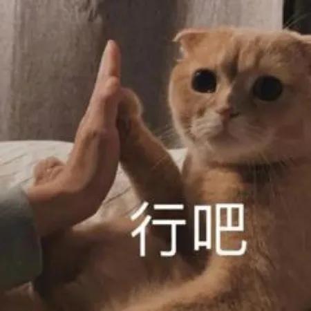 期待五一的表情包,挺住马上就有客户了表情包