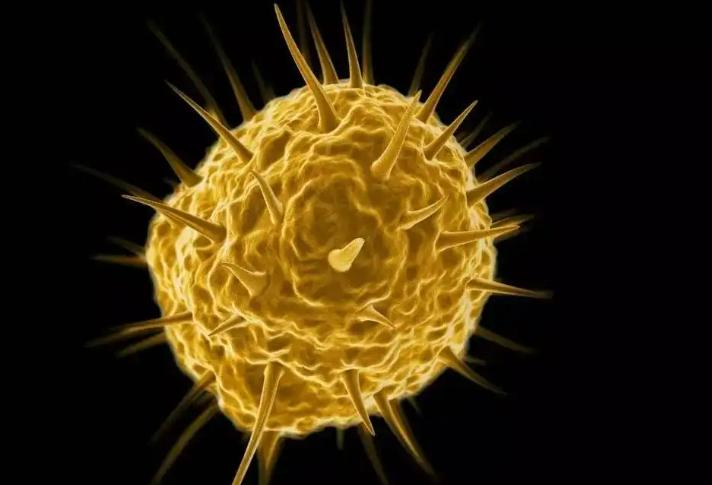 关于史前病毒的研究,史前巨型病毒是真的吗