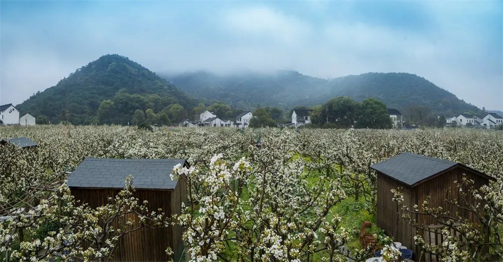 閱夌編鐧诲北姝ラ亾,閱夌編鎽勫奖琛楁媿