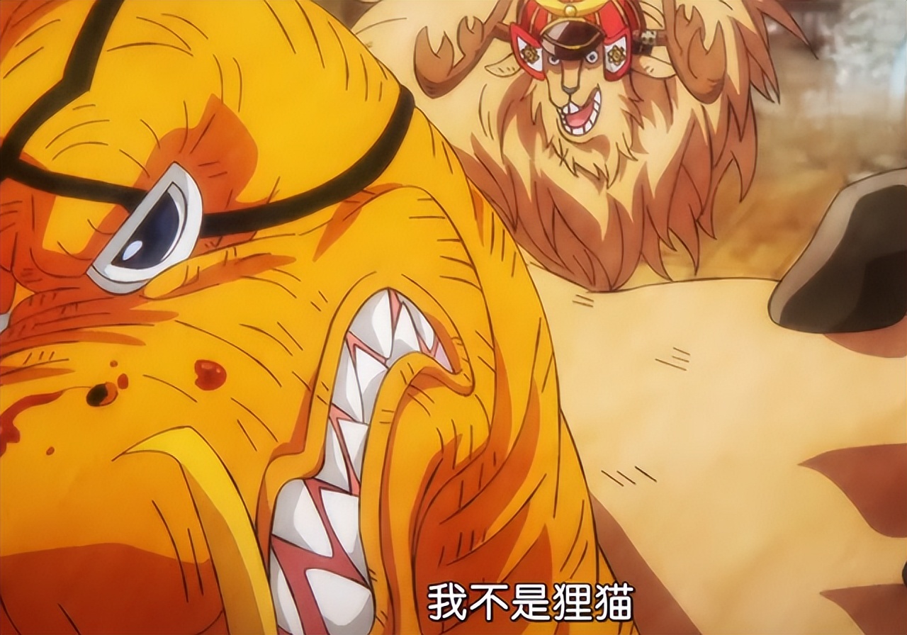 海贼王1023乔巴暴打奎因,海贼王1007话乔巴的话