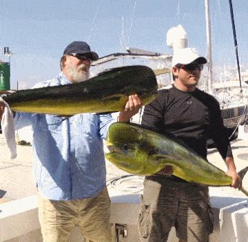 神回复的含义是什么,神回复的语句