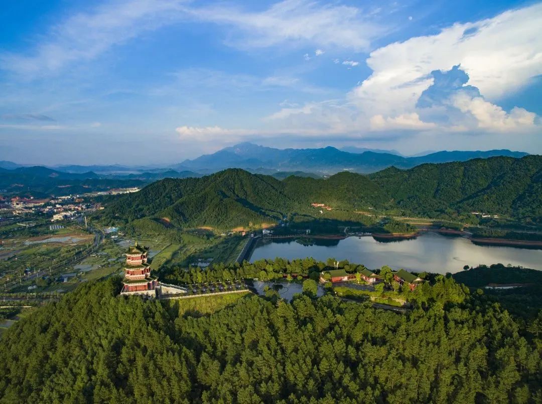 涓婇ザ鏂囨梾绔崍,涓婇ザ鏂囨梾鍛ㄦ姤