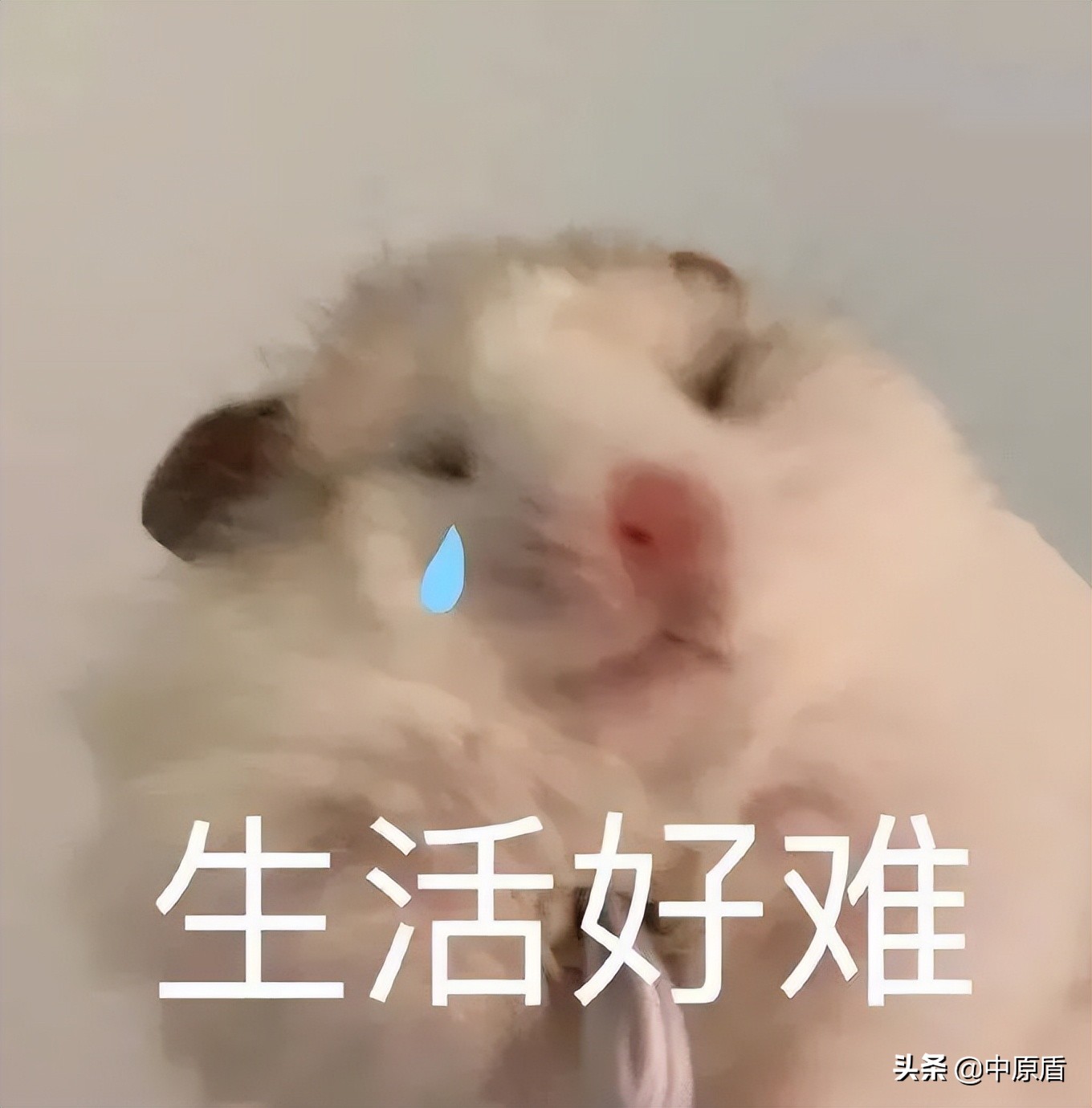 警惕全国已有上百人被骗,警惕超10万人被骗