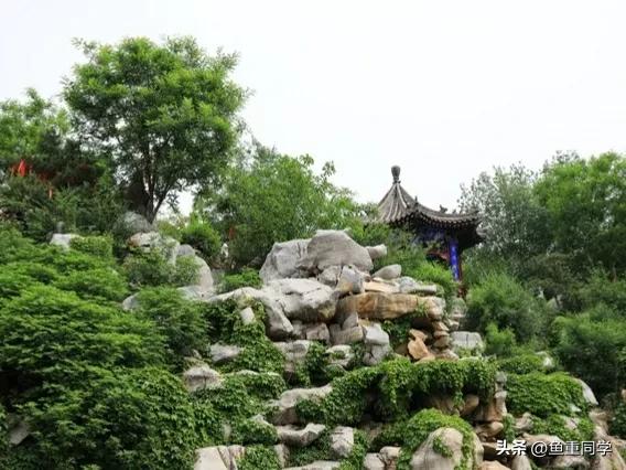 明天二月初一“中和节”，不忘老传统，五谷丰登，事事顺心