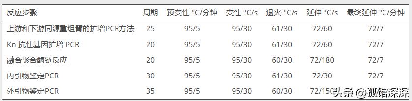 奇异性变形杆菌,奇异变形杆菌内源性感染