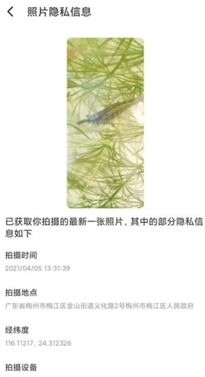 鎵嬫満APP搴旂敤濡備綍鍒朵綔,app浣跨敤鎵嬪唽鎬庝箞鍒朵綔瑙嗛