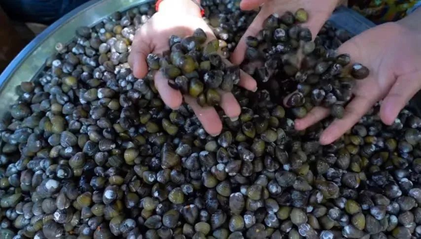 柬埔寨美食吃法,柬埔寨最受欢迎的美食