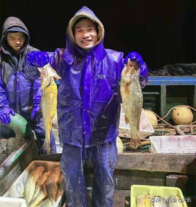 海钓珍稀百斤大黄鱼长度一米七,海钓小皮艇钓26公斤大黄鱼