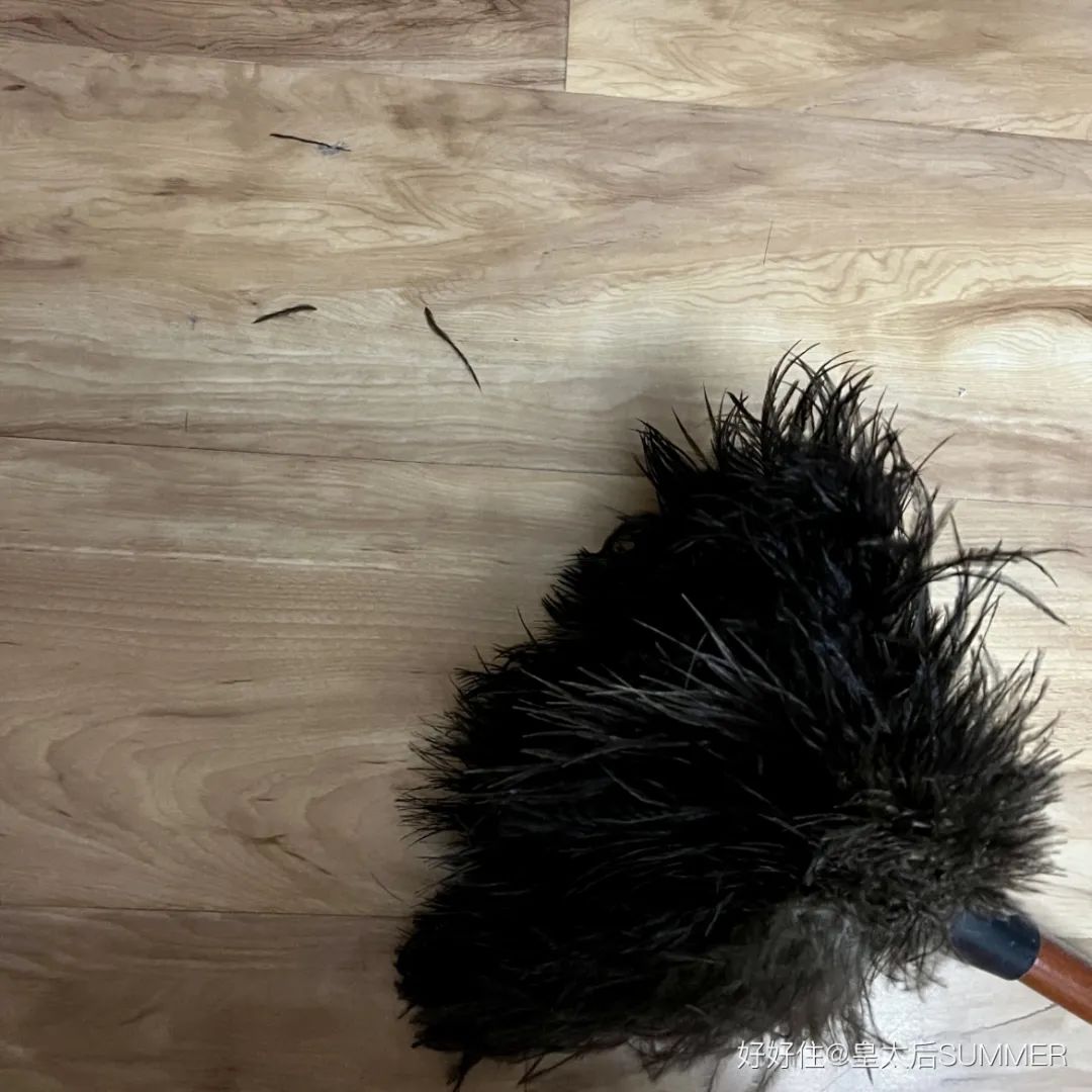 大可不必装备展示,大可不必的奇思妙想