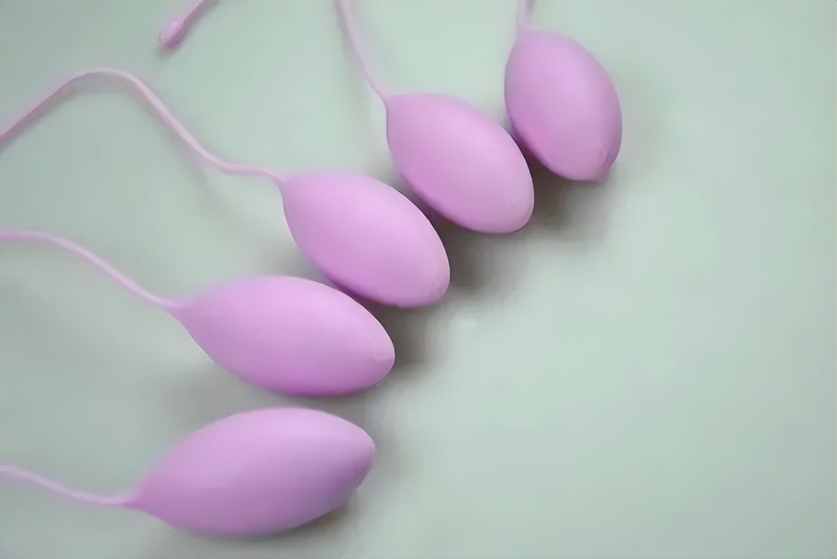 浪姐ella表现怎么样,浪姐4内幕