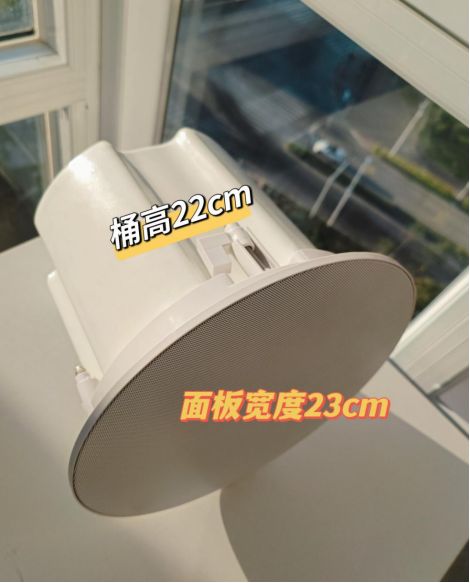 吸顶音箱选什么品牌,吸顶音响如何选购
