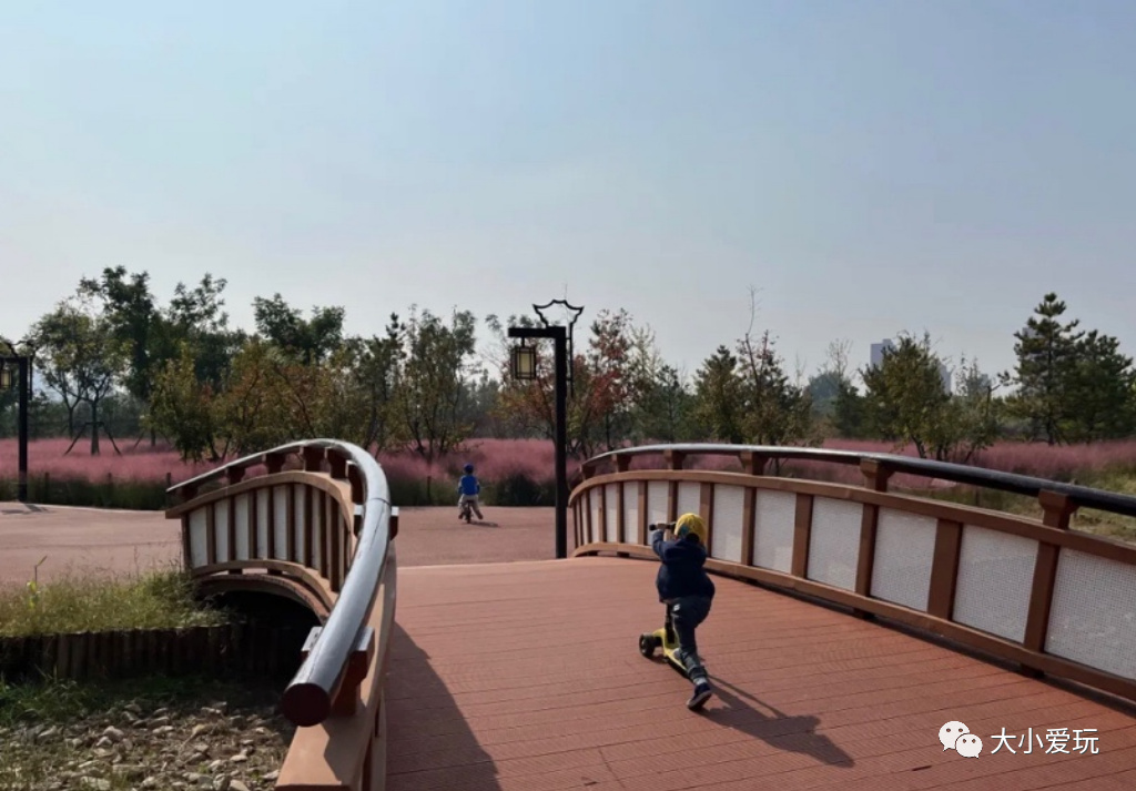 北京赏秋打卡地银杏大道,北京10条最值得打卡赏红叶线路