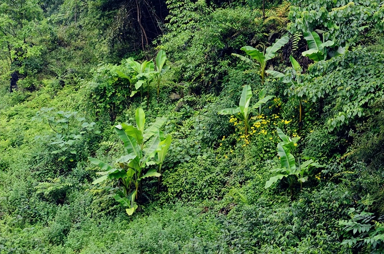 宣恩一座小城,湖北宣恩美丽的小城