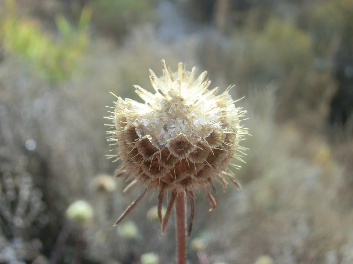 金秋时节登山视频,金秋登太行免费完整版