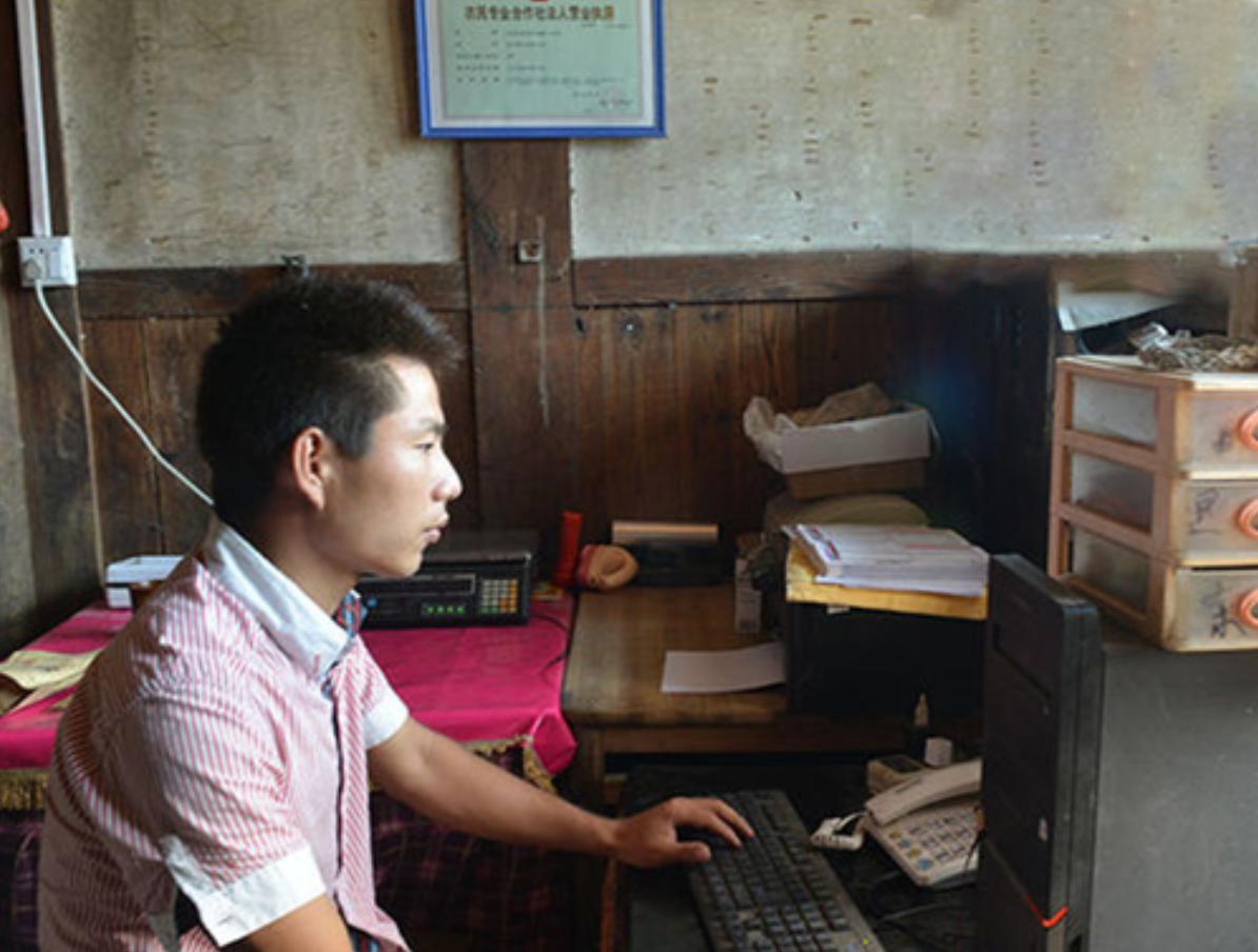 5毛钱一斤没人要的“野草”,小伙竟看出商机,2019年赚1760万元