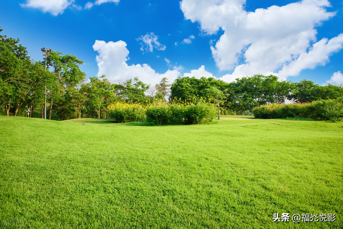 整理旧作：福灮悦影丁酉诗集（2017年）